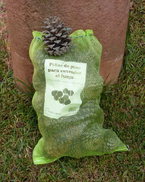 Piñas de pino para encender el fuego